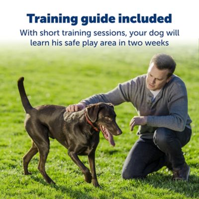 Image showing  Stubborn Dog Stay and Play Wireless Fence Dog Collar Receiver