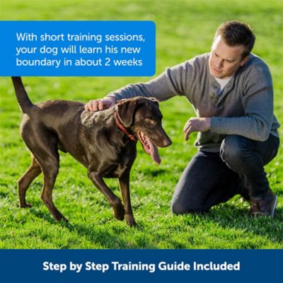 PetSafe Stubborn Dog Stay Play Receiver Collar PIF00-13672