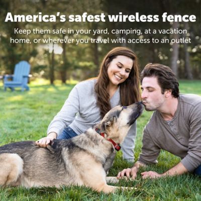 Image showing  Stubborn Dog Stay and Play Wireless Fence Dog Collar Receiver