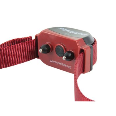 Image showing 8 th PetSafe Stubborn Dog Stay and Play Wireless Fence Dog Collar Receiver
