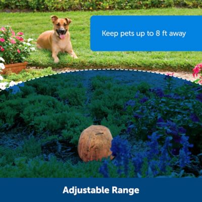 Image showing  Pawz Away Outdoor Pet Barrier