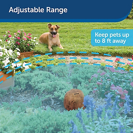 PetSafe Pawz Away Outdoor Pet Barrier for Cats and Dogs, Waterproof, Pet  Proof Your Yard 