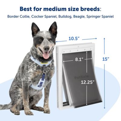 Image showing  Extreme Weather Pet Door