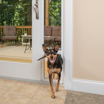 Amazon.com : PetSafe 1-Piece Sliding Glass Door for Dogs and Cats -  Adjustable 76 13/16 in to 80 11/16 in - Small, White - No Cutting DIY  Installation - Patio Pet Door