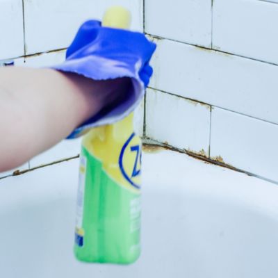 Image showing  32 oz. Mold and Mildew Stain Remover