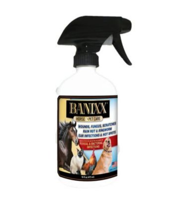 Banixx Horse & Pet Spray, 16 oz.