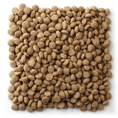 Image showing  Waterfowl Breeder Poultry Feed, 50 lb. Bag