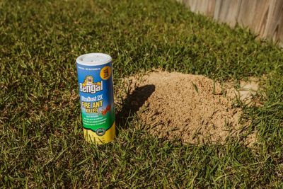 Image showing  12 oz. UltraDust 2X Fire Ant Killer