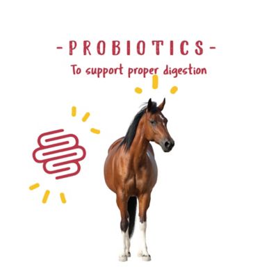 Image showing  Senior Horse Weight Accelerator, 8 lb.