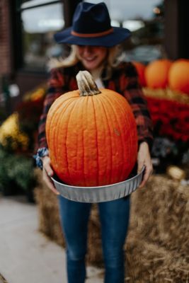 Image showing  1 gal. Galvanized Steel Feed/Utility Pan