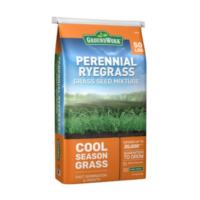 GroundWork 50 lb. Coated Perennial Ryegrass Mix Grass Seed