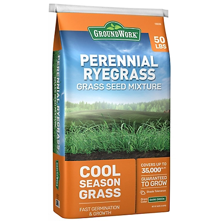 GroundWork 50 lb. Coated Perennial Ryegrass Mix Grass Seed
