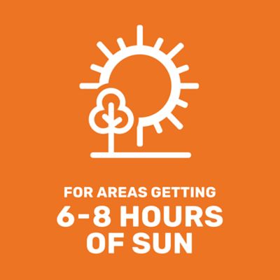 Image showing  50 lb. 35,000 sq. ft. Coated Perennial Ryegrass Grass Seed