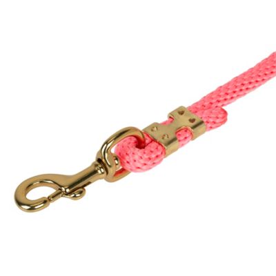 Image showing  1 in. x 10 ft. Polyester Horse Lead with Bolt Snap, Solid