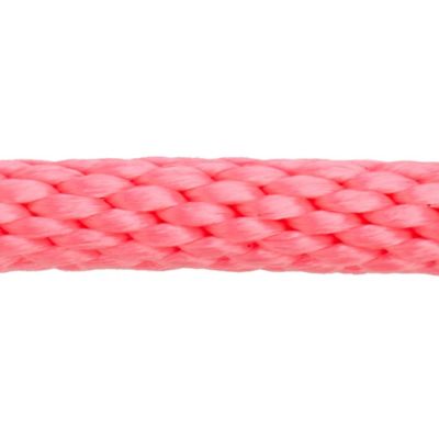 Image showing  1 in. x 10 ft. Polyester Horse Lead with Bolt Snap, Solid