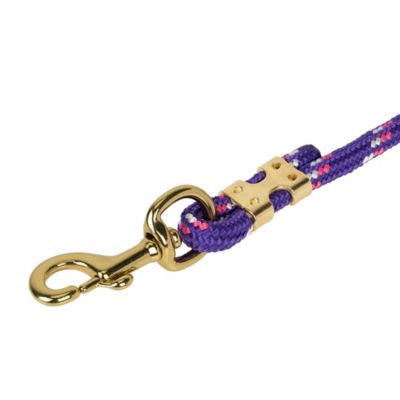 Image showing  1 in. x 10 ft. Polyester Horse Lead with Bolt Snap