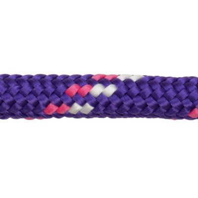 Image showing  1 in. x 10 ft. Polyester Horse Lead with Bolt Snap