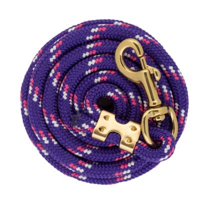 Image showing  1 in. x 10 ft. Polyester Horse Lead with Bolt Snap