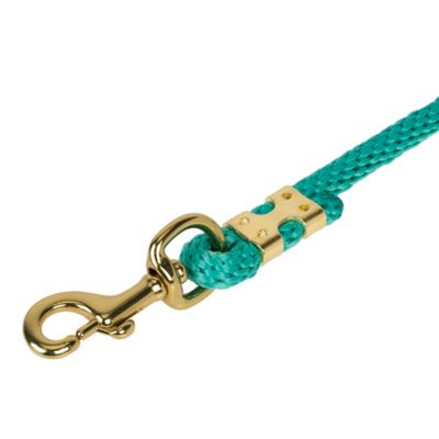Image showing  1 in. x 10 ft. Polyester Horse Lead with Bolt Snap, Solid