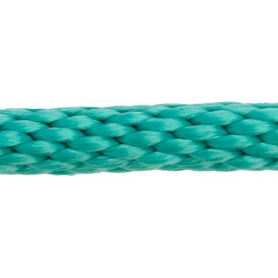 Image showing  1 in. x 10 ft. Polyester Horse Lead with Bolt Snap, Solid