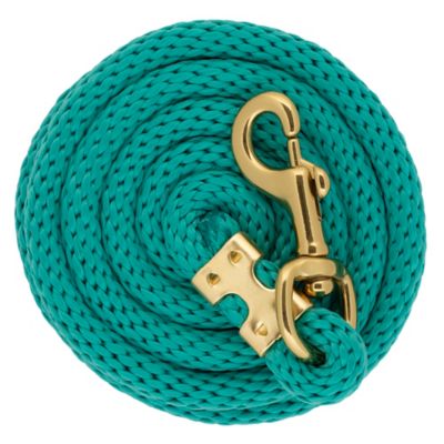 Image showing  1 in. x 10 ft. Polyester Horse Lead with Bolt Snap, Solid