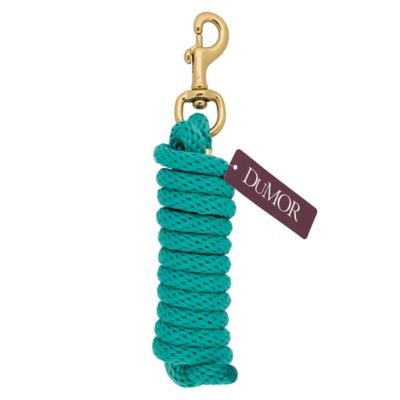 Image showing  1 in. x 10 ft. Polyester Horse Lead with Bolt Snap, Solid