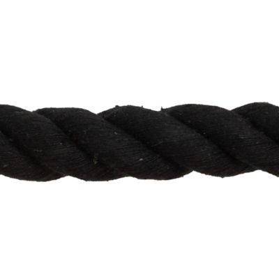 Image showing  1 in. x 10 ft. Polyester Horse Lead with Bolt Snap, Solid