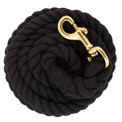 Image showing  1 in. x 10 ft. Polyester Horse Lead with Bolt Snap, Solid