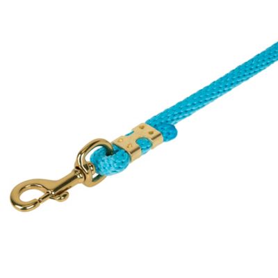Image showing  1 in. x 10 ft. Polyester Horse Lead with Bolt Snap, Solid