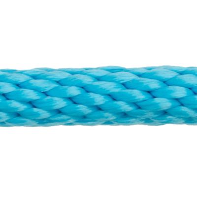 Image showing  1 in. x 10 ft. Polyester Horse Lead with Bolt Snap, Solid