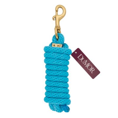 Image showing  1 in. x 10 ft. Polyester Horse Lead with Bolt Snap, Solid