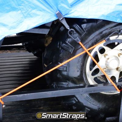 Image showing  Assorted Standard Bungee Cords, 20 pk.