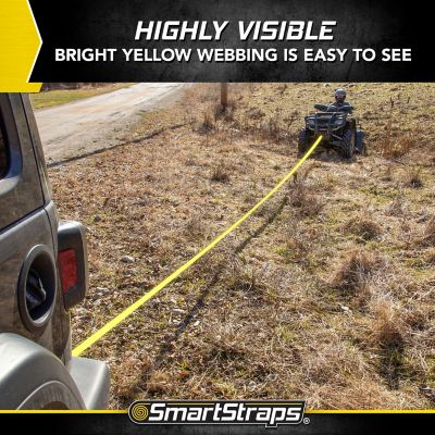 Image showing 8 th SmartStraps 2 in. x 30 ft. Recovery Strap with Loop Ends, 5,000 lb. Safe Work Load