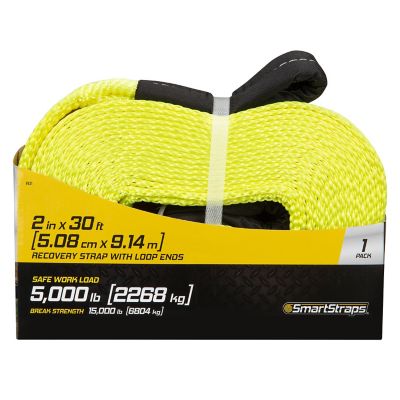 Image showing 9 th SmartStraps 2 in. x 30 ft. Recovery Strap with Loop Ends, 5,000 lb. Safe Work Load