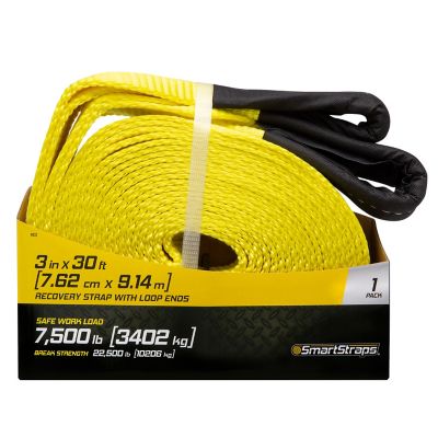 Image showing 9 th SmartStraps 3 in. x 30 ft. Recovery Strap with Loop Ends, 7,500 lb. Safe Work Load