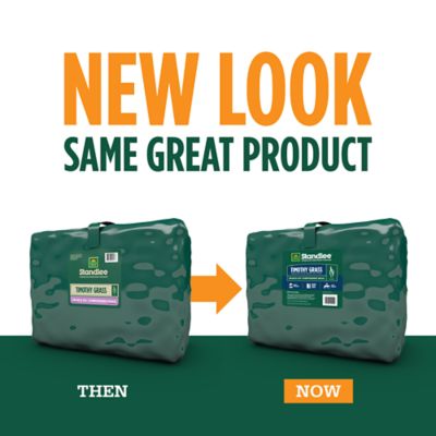Image showing  Premium Western Forage Premium Timothy Grab and Go Compressed Hay Bale, 50 lb.