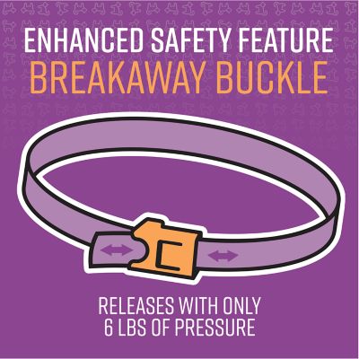 Image showing  Calming Collar for Cats