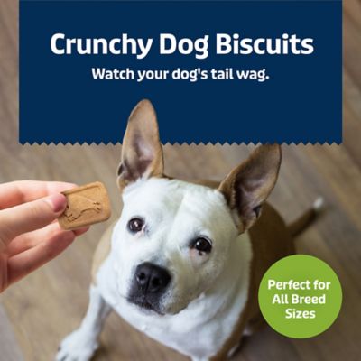 Image showing  Health Bars Apples and Yogurt Biscuits Crunchy Dog Treats, 16 oz.