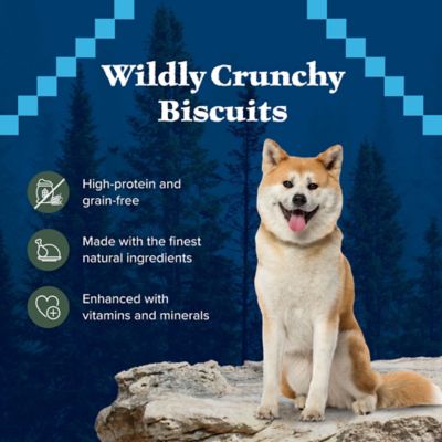 Image showing  Trail Treats High Protein Grain-Free Duck Flavor Crunchy Dog Biscuits, 10 oz.