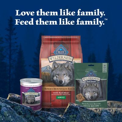 Image showing 8 th Blue Buffalo Wilderness Trail Treats High Protein Grain-Free Duck Flavor Crunchy Dog Biscuits, 10 oz.