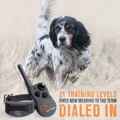 Image showing  1/2 Mile SportHunter 825X Remote Dog Training Collar