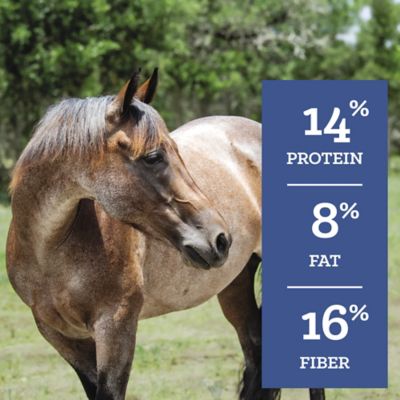 Image showing  Pelleted Senior Horse Feed, 50 lb. Bag