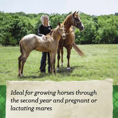 Image showing  Mare and Foal 16% Pelleted Horse Feed, 50 lb. Bag