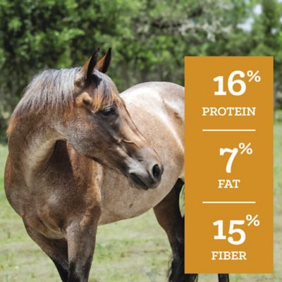 Image showing  Mare and Foal 16% Pelleted Horse Feed, 50 lb. Bag