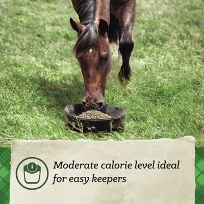 Image showing  Maintenance Pelleted Horse Feed, 50 lb. Bag