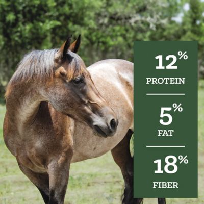 Image showing  Maintenance Pelleted Horse Feed, 50 lb. Bag