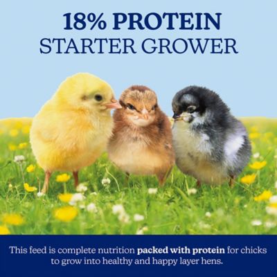 Image showing  18% Protein Starter Grower Crumbled Chick Feed