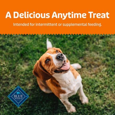 Image showing 8 th Blue Buffalo Health Bars Natural Pumpkin and Cinnamon Flavor Crunchy Dog Treat Biscuits, 16 oz.