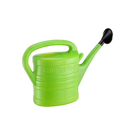GroundWork 2.5 gal. Plastic Watering Can
