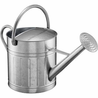 Groundwork 2 3 Gal Watering Can At Tractor Supply Co